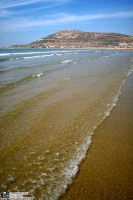 wawa              wawwwwwwwwww